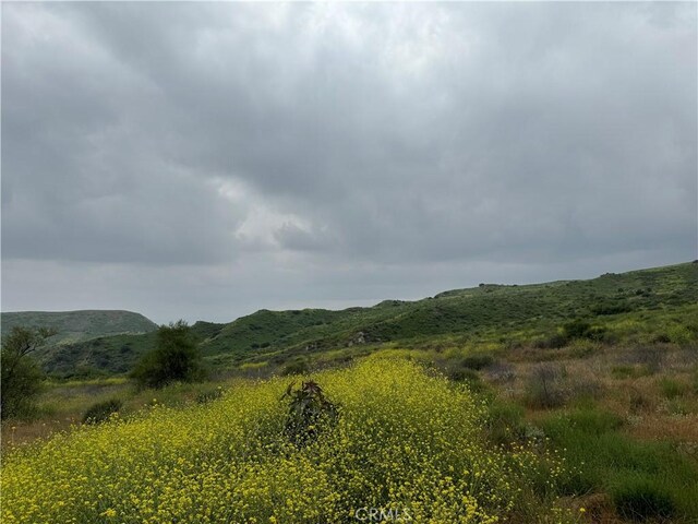 11275 Hadler Dr, Kagel Canyon, CA 91342