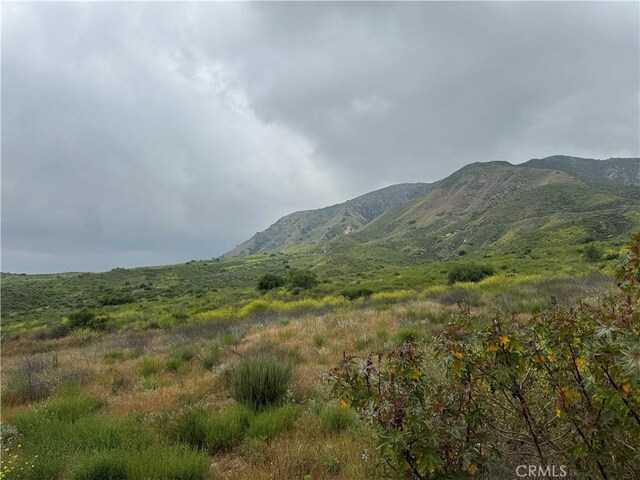 11275 Hadler Dr, Kagel Canyon, CA 91342