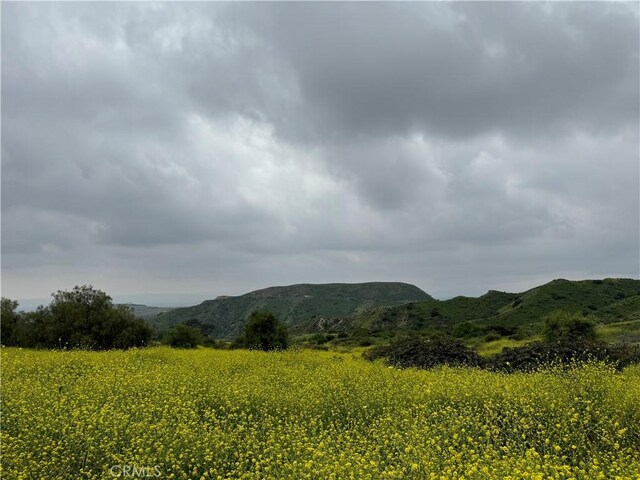 11275 Hadler Dr, Kagel Canyon, CA 91342