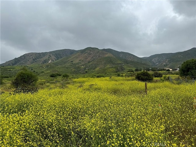 11275 Hadler Dr, Kagel Canyon, CA 91342