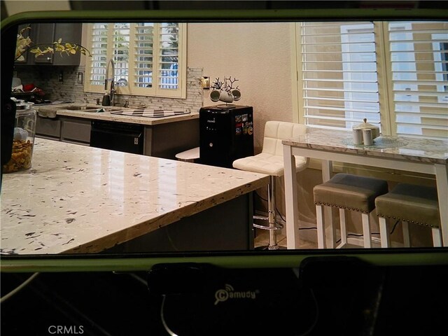 bar featuring dishwasher and tasteful backsplash