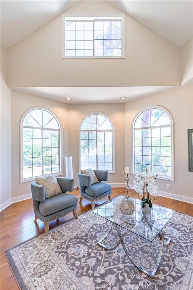 living room with a healthy amount of sunlight and hardwood / wood-style flooring