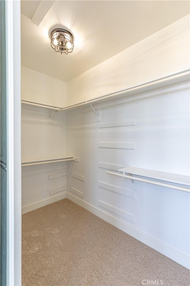 walk in closet featuring light carpet