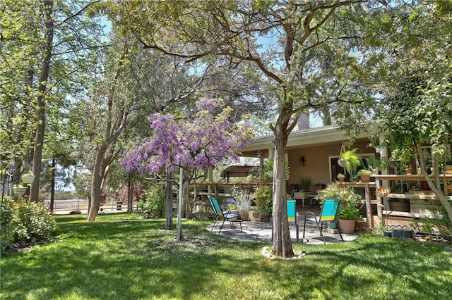 view of yard with a patio