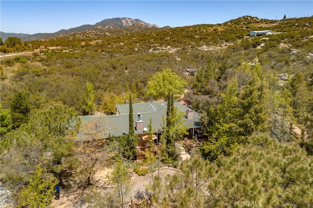 birds eye view of property featuring a mountain view