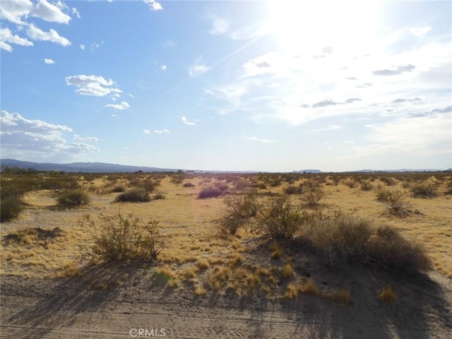 Listing photo 3 for 0 Silver Valley Rd, Newberry Springs CA 92365