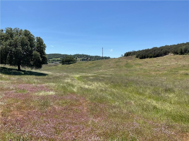 2 Interlake Rd, Bradley, CA 93426 - photo 9