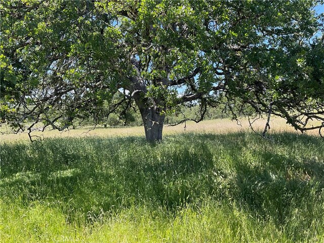 2 Interlake Rd, Bradley, CA 93426 - photo 4