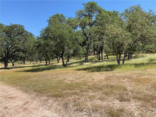 2 Interlake Rd, Bradley, CA 93426 - photo 15