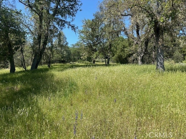 Listing photo 2 for 74620 Copperhead Rd, Bradley CA 93426