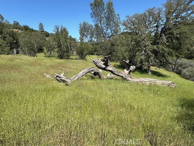 74620 Copperhead Rd, Bradley, CA 93426