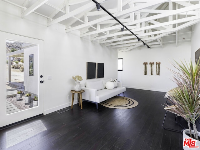 living area with hardwood / wood-style floors and high vaulted ceiling