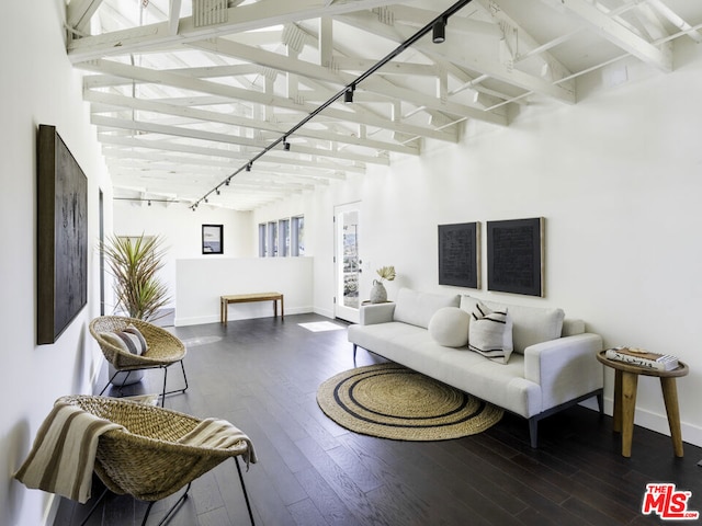 living room with track lighting, high vaulted ceiling, and hardwood / wood-style flooring