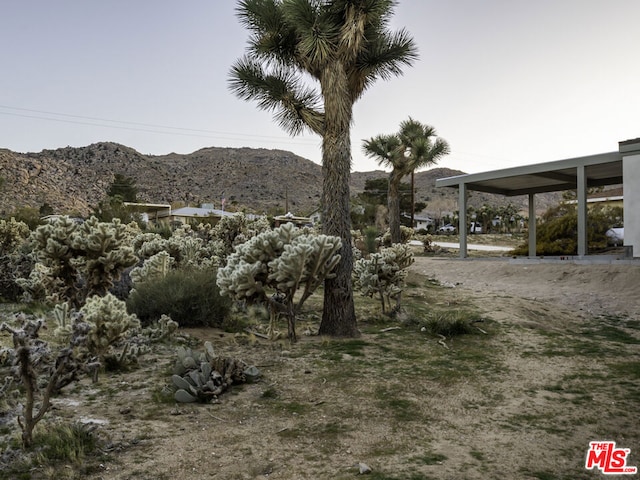 view of yard with a mountain view