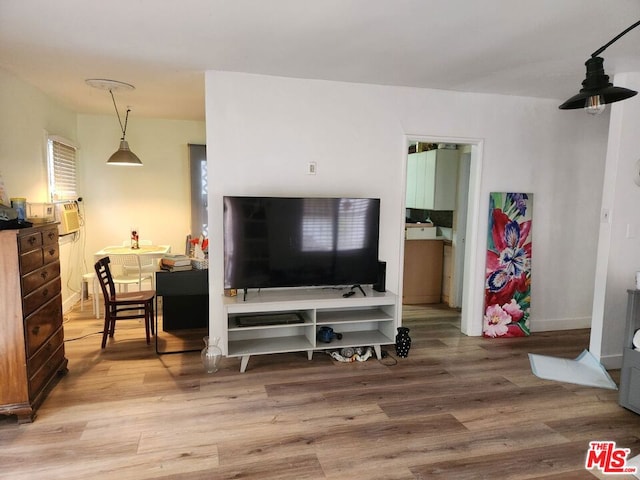 living room with hardwood / wood-style flooring