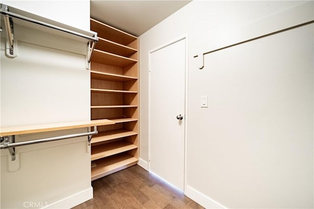 spacious closet featuring hardwood / wood-style flooring