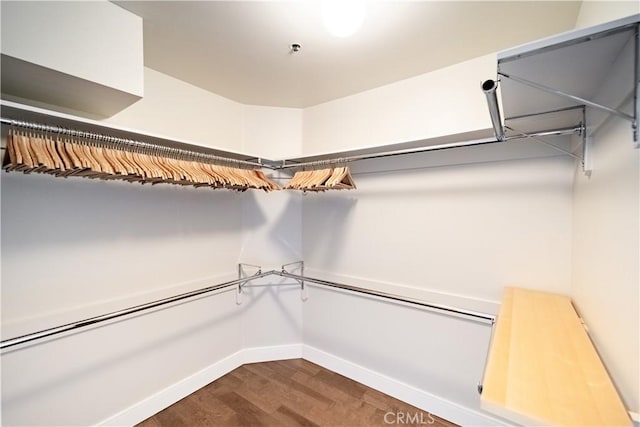 walk in closet featuring dark hardwood / wood-style flooring