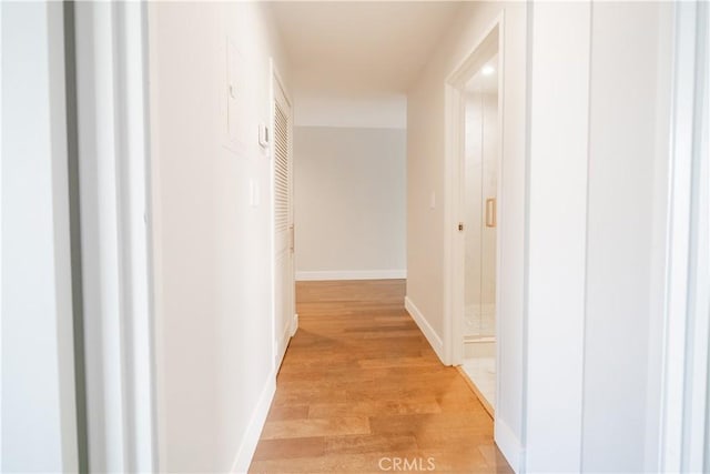 hall featuring light hardwood / wood-style floors