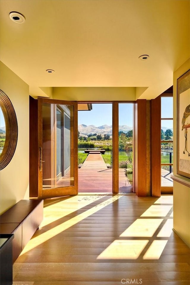 doorway to outside with a wealth of natural light, a mountain view, and hardwood / wood-style flooring