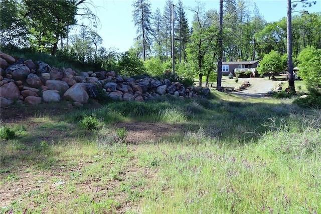 Listing photo 2 for 12030 Shenandoah Rd, Loch Lomond CA 95461