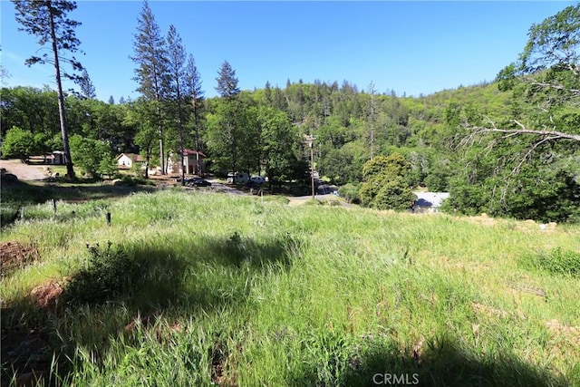 Listing photo 3 for 12030 Shenandoah Rd, Loch Lomond CA 95461