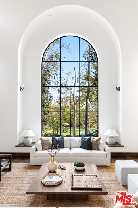 living room with light hardwood / wood-style floors and plenty of natural light