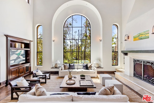 living room with hardwood / wood-style flooring, a towering ceiling, and a fireplace