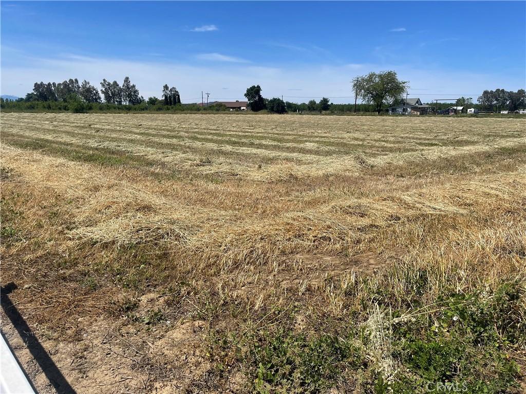 0 Reno Ave, Gerber, CA 96035 - photo 2