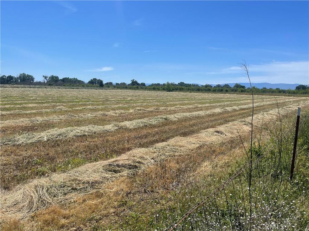 0 Reno Ave, Gerber, CA 96035 - photo 1