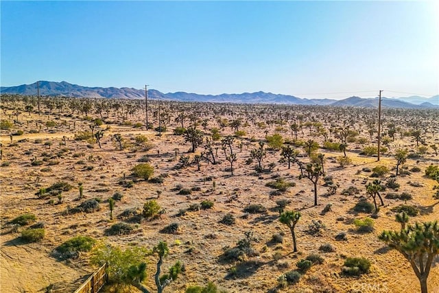 Listing photo 3 for 7645 La Contenta Rd, Joshua Tree CA 92252