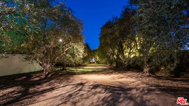 view of yard at night