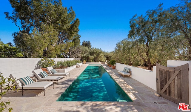 view of pool with a patio area