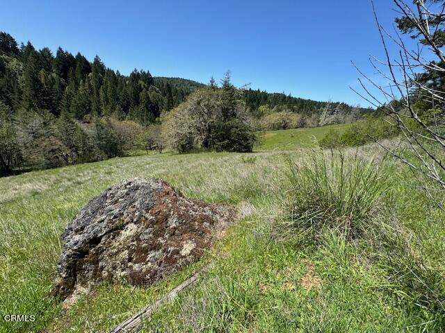 Listing photo 3 for 29300 Pinecrest Rd, Willits CA 95490