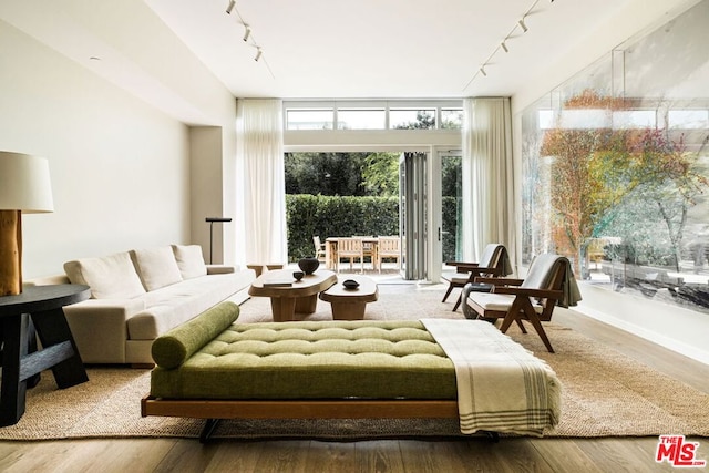 living room with wood-type flooring and track lighting