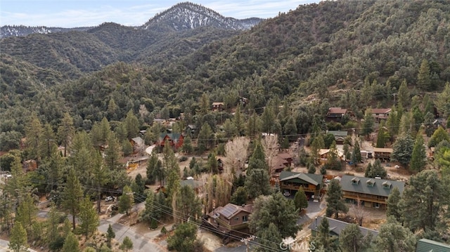 15408 Mil Potrero Hwy, Pine Mountain Club, CA 93222 - photo 6