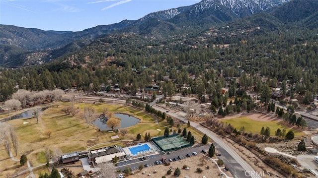 15408 Mil Potrero Hwy, Pine Mountain Club, CA 93222 - photo 8