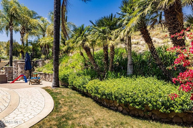 view of yard with a patio area