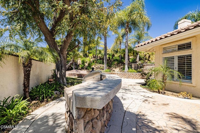 view of patio with exterior kitchen