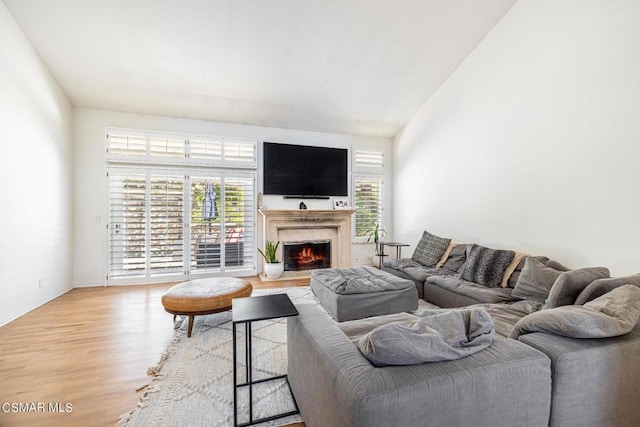 living room featuring vaulted ceiling and light hardwood / wood-style flooring