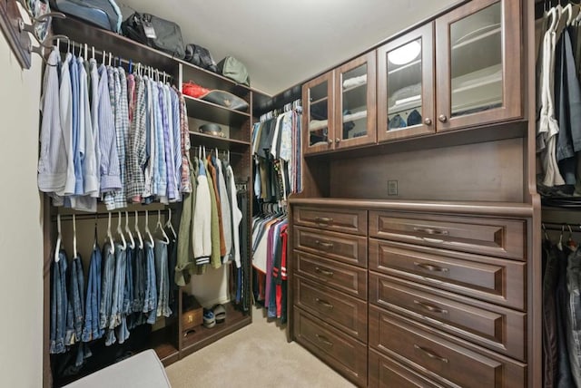 spacious closet featuring light colored carpet