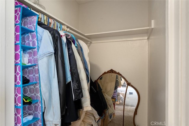 walk in closet with carpet flooring