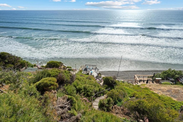 water view featuring a beach view