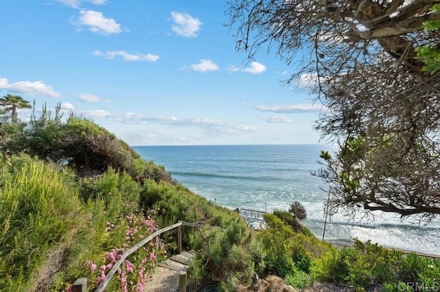 property view of water featuring a beach view
