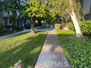 view of community featuring a yard