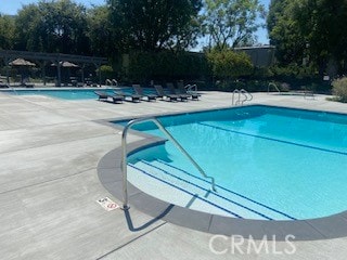 view of swimming pool featuring a patio area