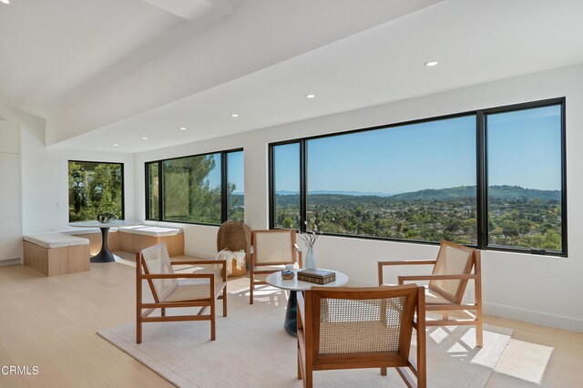 sitting room featuring light hardwood / wood-style flooring