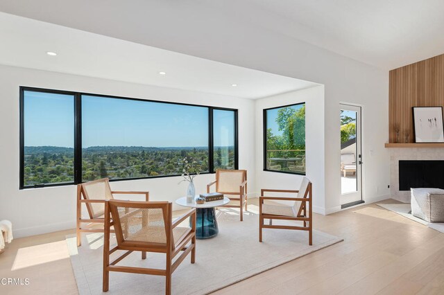 living room featuring light hardwood / wood-style floors and a premium fireplace