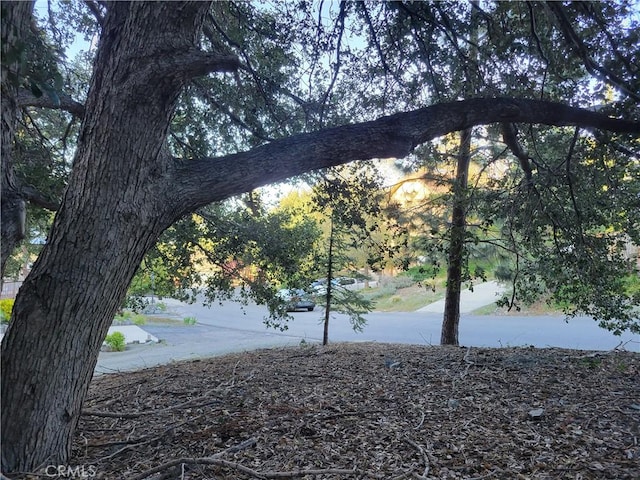 0 Desert View Ln, Wrightwood, CA 92397 - photo 7