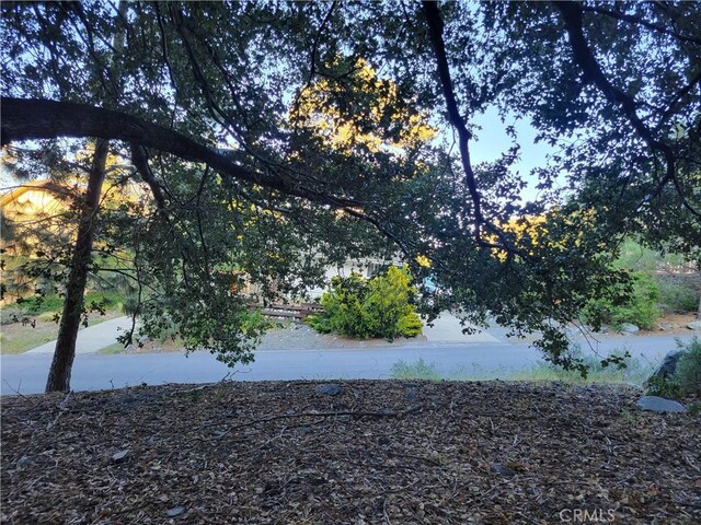 0 Desert View Ln, Wrightwood, CA 92397 - photo 6