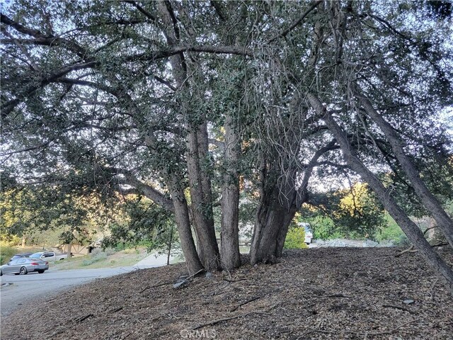 0 Desert View Ln, Wrightwood, CA 92397 - photo 9